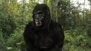 King Dong&amp;#039;s 40oz Stuiteren!