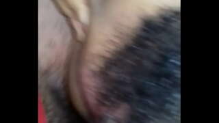 ���ાટે મૂર્ખ aflor