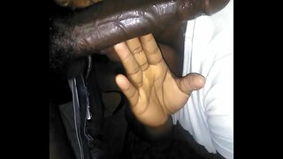 Lohor sirah off dipan