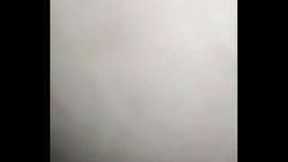 کلیولند اوهایو BBC کنتاکی گربه سفید.......